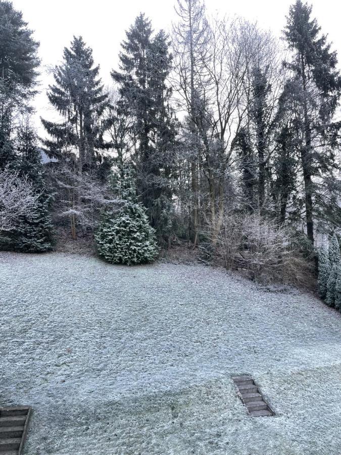 Bergstadthuette Harz Villa Bad Grund Buitenkant foto