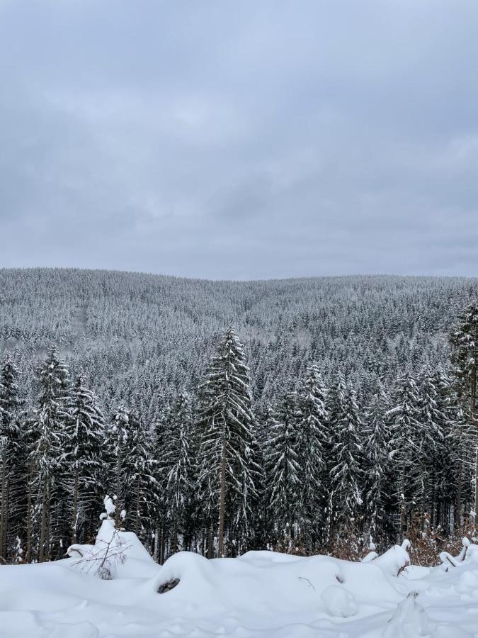 Bergstadthuette Harz Villa Bad Grund Buitenkant foto