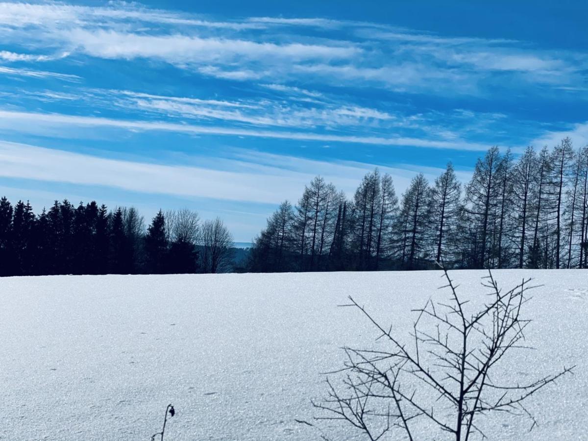 Bergstadthuette Harz Villa Bad Grund Buitenkant foto