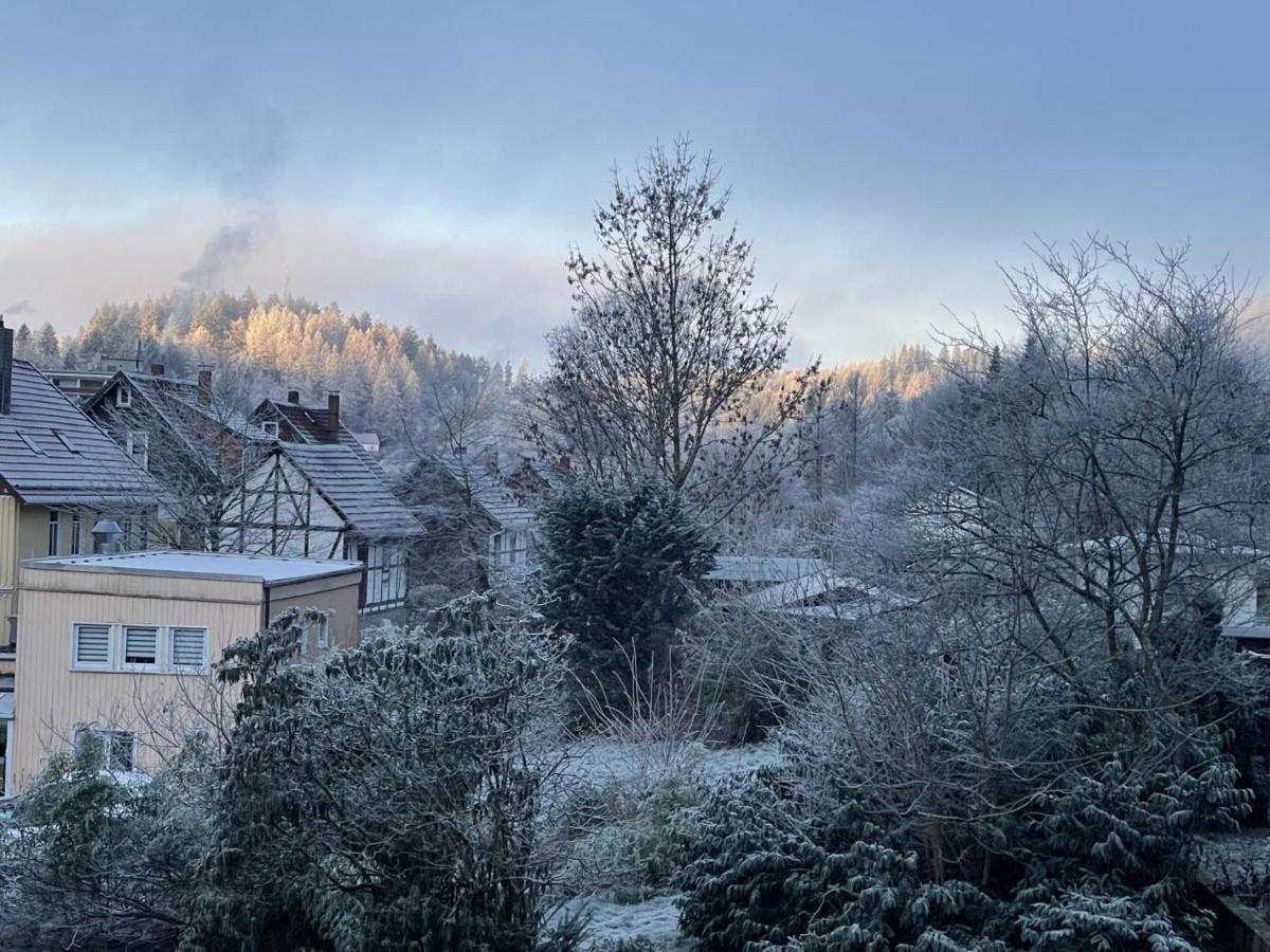 Bergstadthuette Harz Villa Bad Grund Buitenkant foto